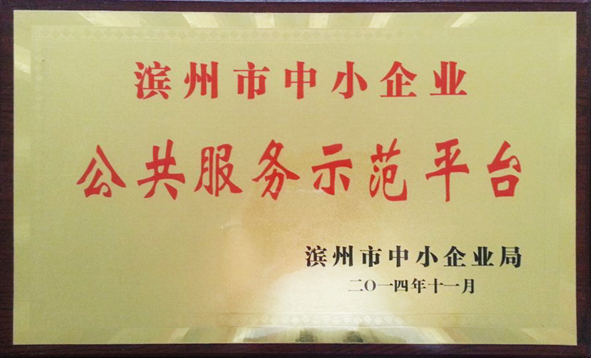 滨州市中小企业公共服务示范平台