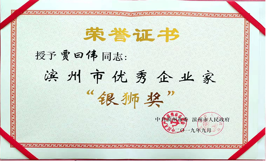 2019年银狮奖